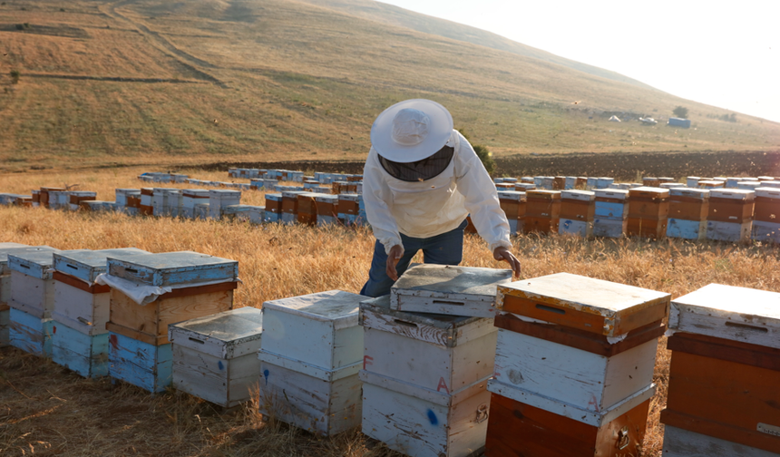 Türk Balını Uluslararası Pazarlara Ulaştıran Balparmak, İhracat Birinciliğini Perçinledi