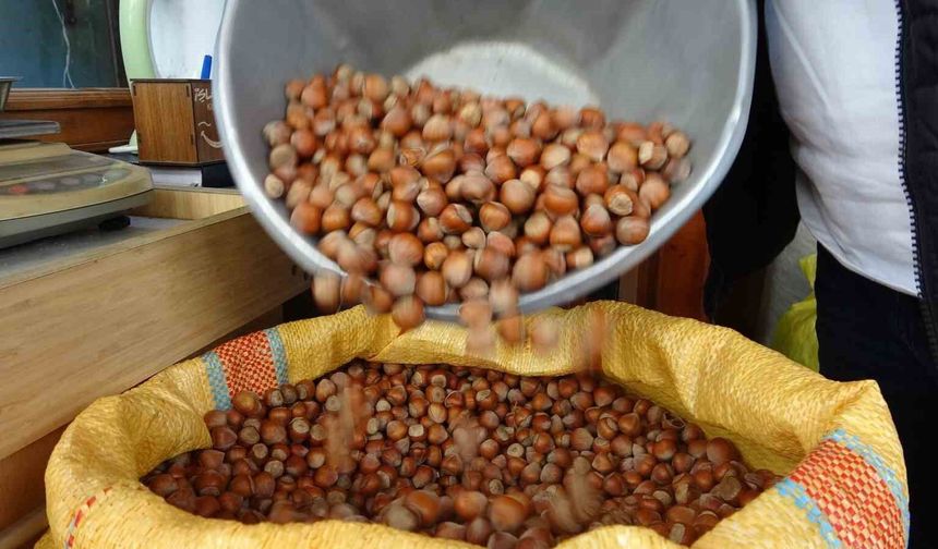 Düzce’den AB ülkelerine 4 bin 452 ton fındık ihraç edildi