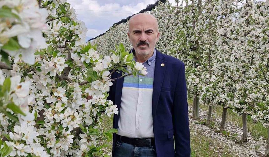 Karaman’da 16 milyon elma ağacı çiçek açarak gelinliğini giydi