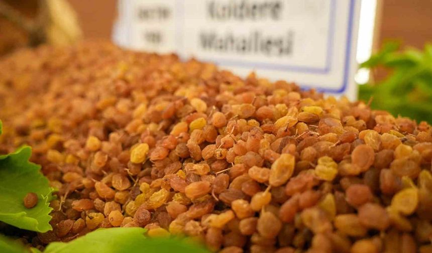 Manisa’dan 321 milyon dolarlık kuru üzüm ihracatı