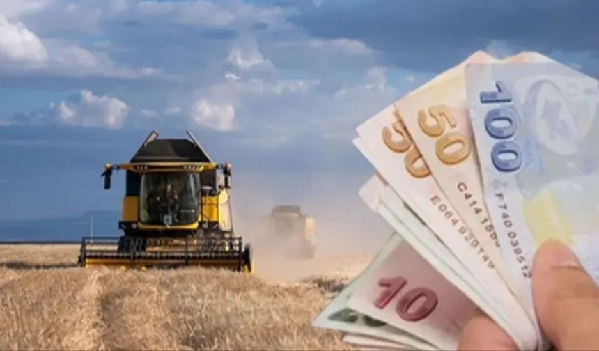 Tarım-ÜFE yıllık yüzde 42,53 arttı