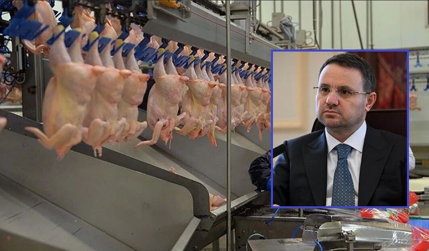 Adalet Bakanı Gürlek: "13 şirkete denetim kayyımı atanmıştır"