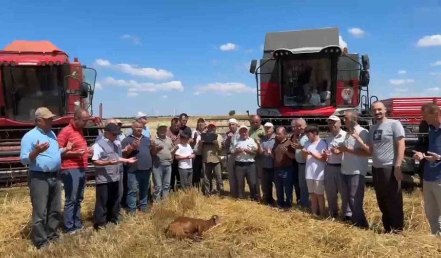 Edirne’de buğday hasadı dualarla başladı