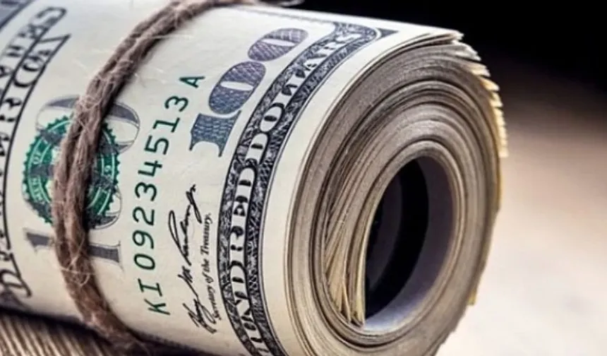 Finansal kesim dışı firmaların net döviz pozisyonu açığı geriledi