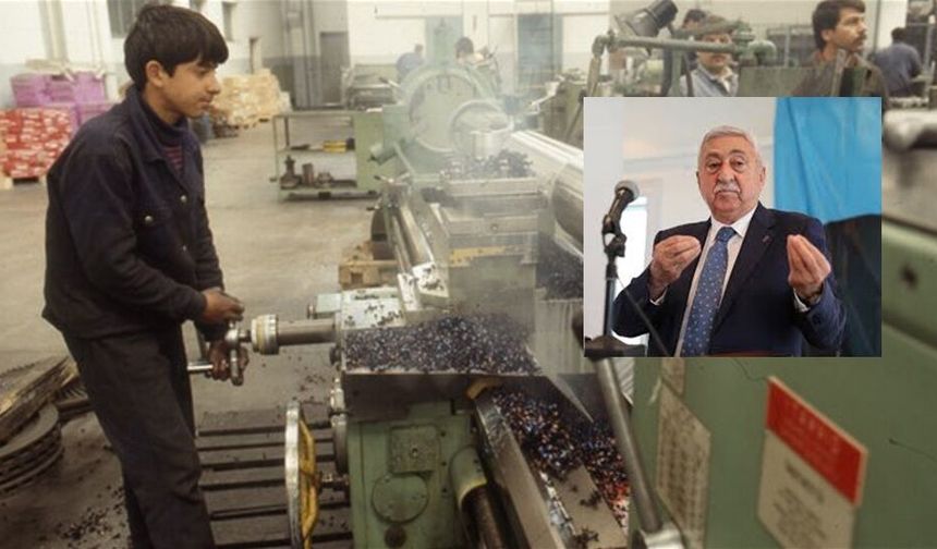 Palandöken: "Çıraklık çocuk işçiliği değil, mesleki eğitimdir"