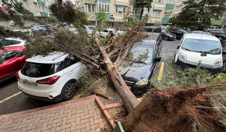İstanbul’da fırtına etkili oldu, ağaçlar devrildi