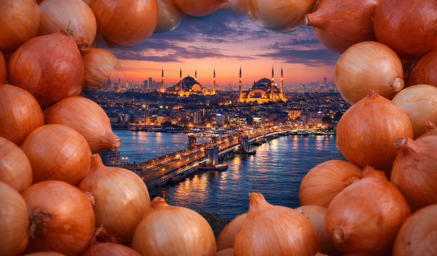 İstanbul’da Haziran ayında en çok kuru soğan pahalandı