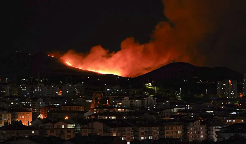 Ankara'da ağaçlık alanda yangın çıktı