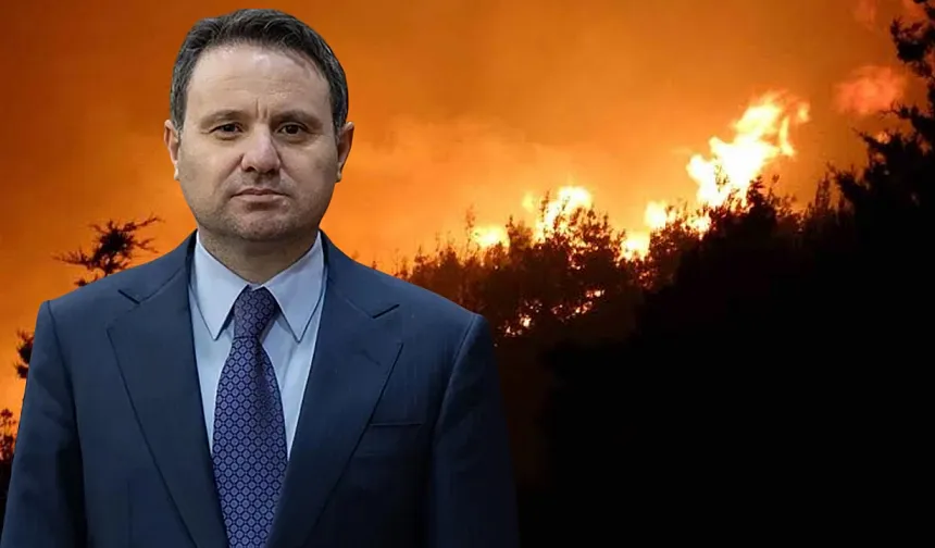 Gürlek: Orman yangınlarında 12 şüpheli tutuklandı