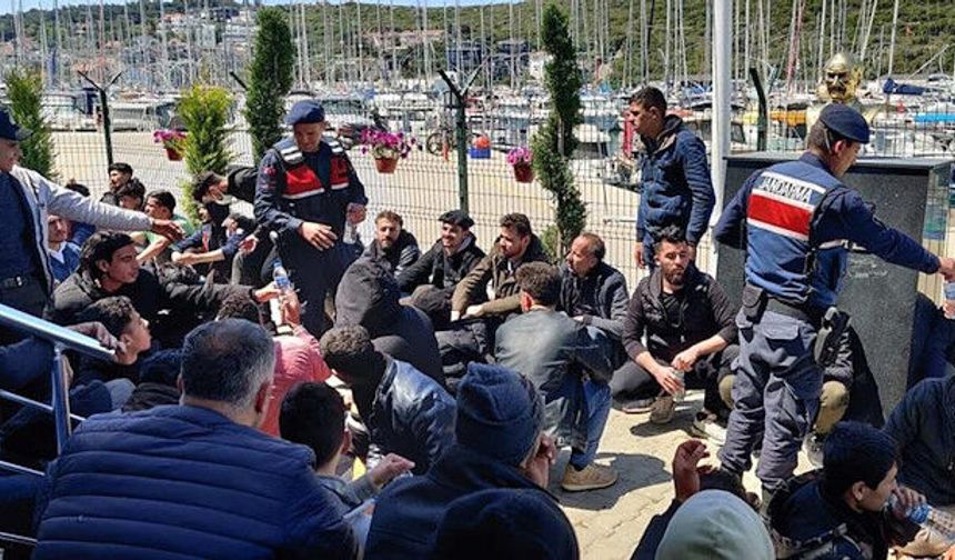 İçişleri Bakanlığı: 23 ilde göçmen kaçakçılığı operasyonunda 48 organizatör yakalandı