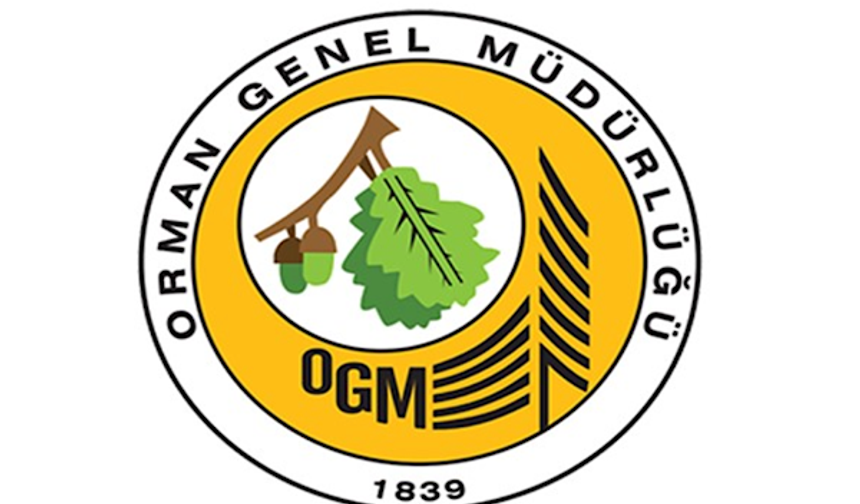 Muğla'daki yangınlar büyük ölçüde kontrol altına alındı
