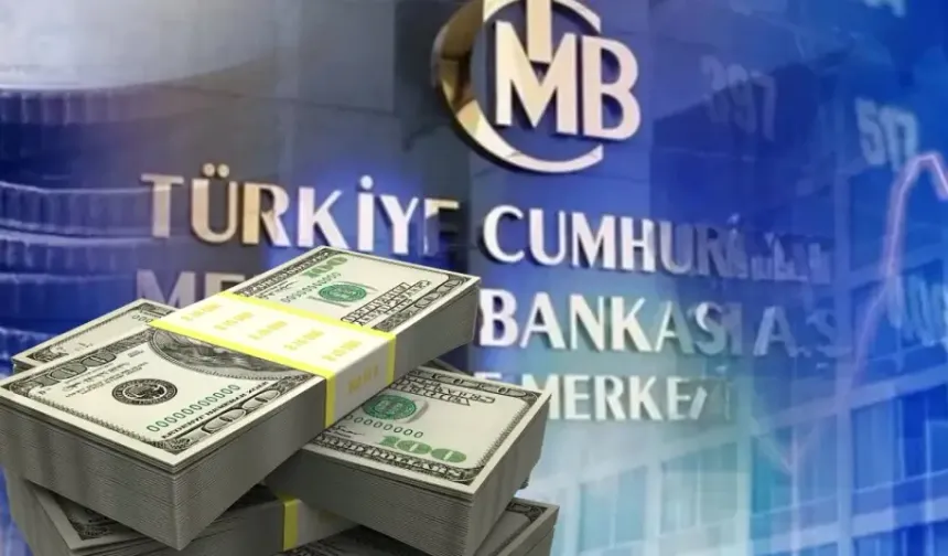 TCMB'nin döviz alımları 39,3 milyar doları aştı