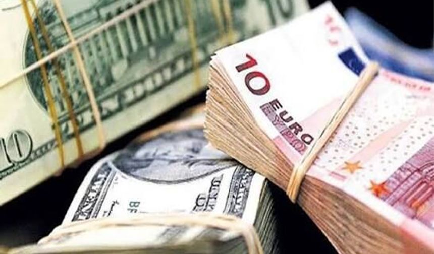 Yurt içi yerleşiklerin döviz mevduatı 228,2 milyar dolara yükseldi