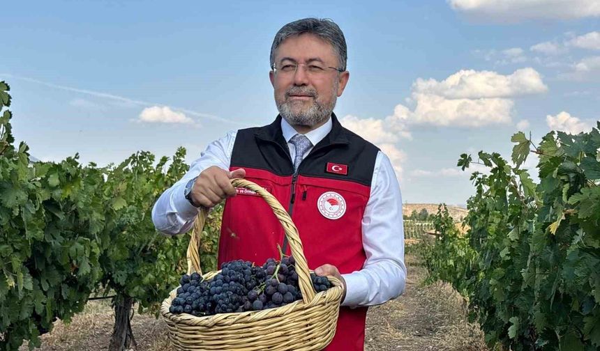 Bakan Yumaklı: "3 milyon 850 bin tonluk bir üzüm üretimi ülkemizde gerçekleşmiş olacak"