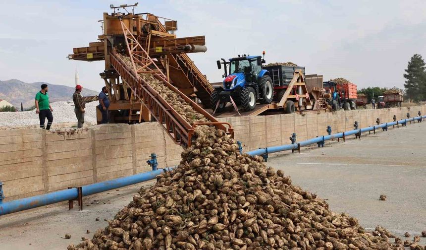 Elazığ Şeker Fabrikası’nda 71. Kampanya Dönemi açıldı: 240 bin ton pancar işlenecek