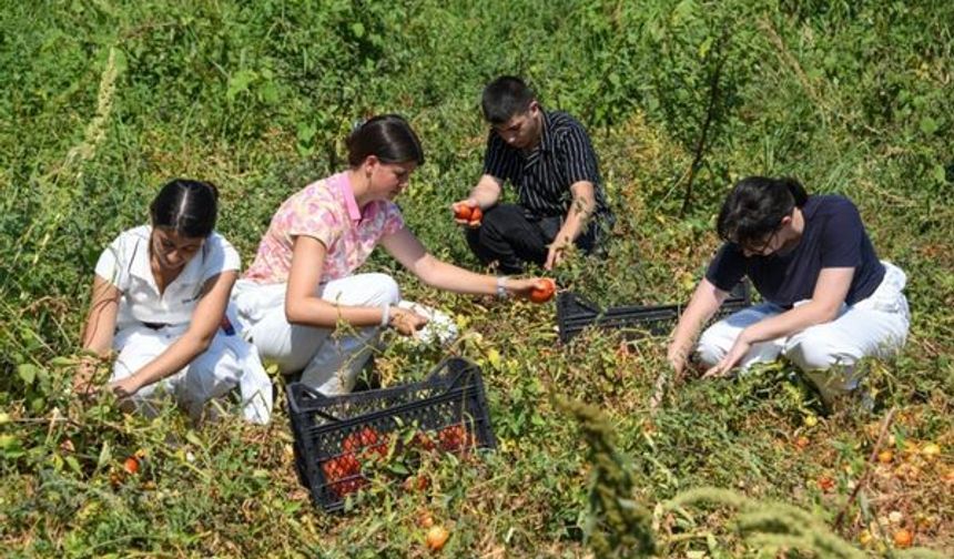 Osmangazi'de gençler gıdanın yolculuğunu deneyimledi