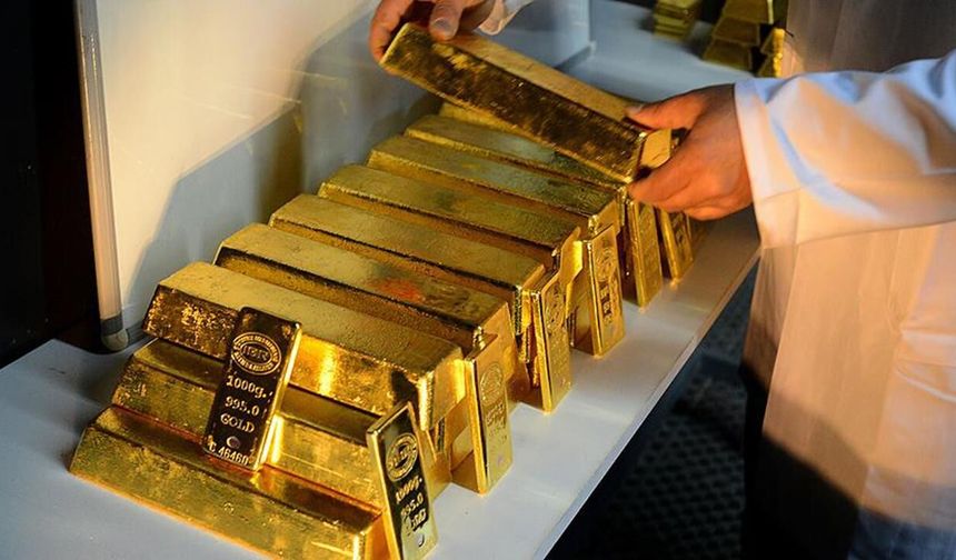 TÜİK- Aylık en yüksek reel getiri külçe altında oldu