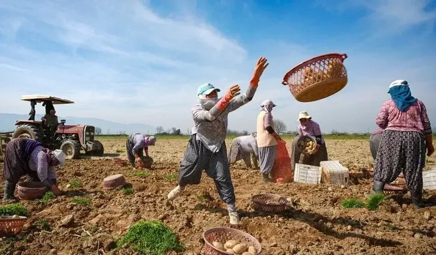 TÜİK: Tarımsal girdi fiyat endeksi yıllık yüzde 27,62 arttı