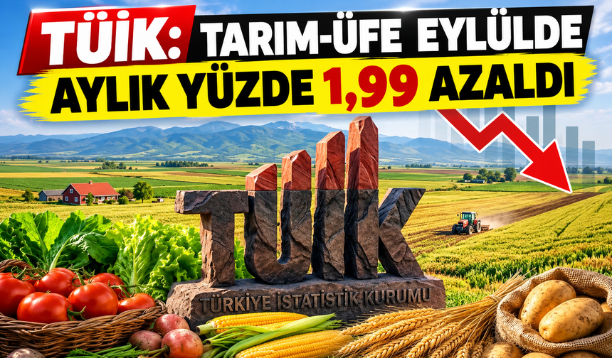 TÜİK: Tarım-ÜFE eylülde aylık yüzde 1,99 azaldı