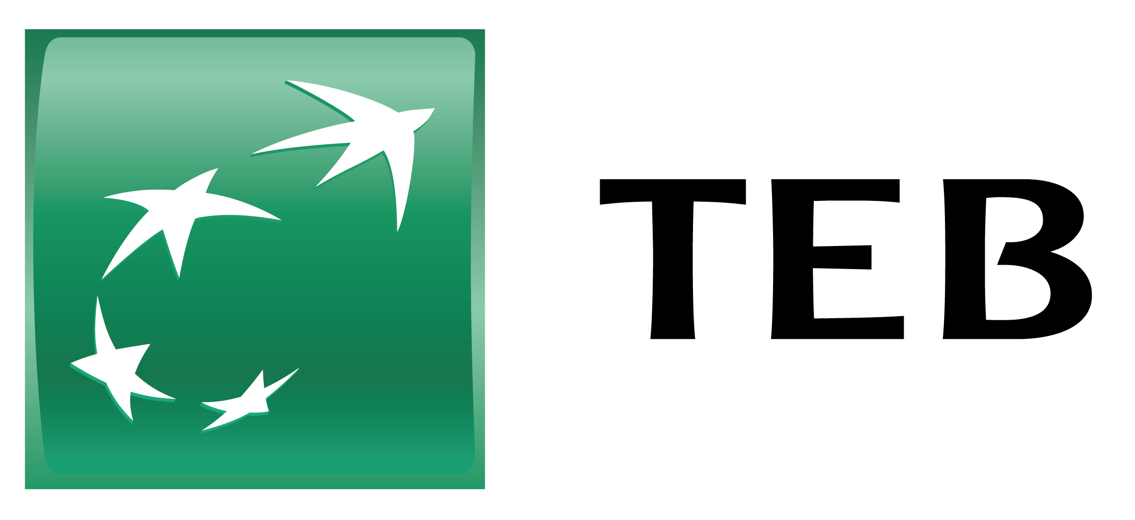 1725785194 T E B Logo