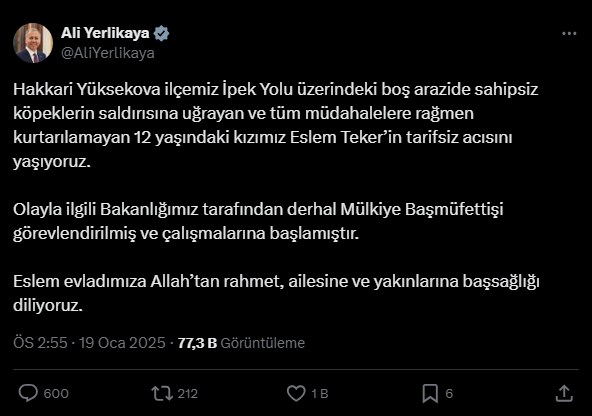 Ali Yerlikaya Işindetayı Haber