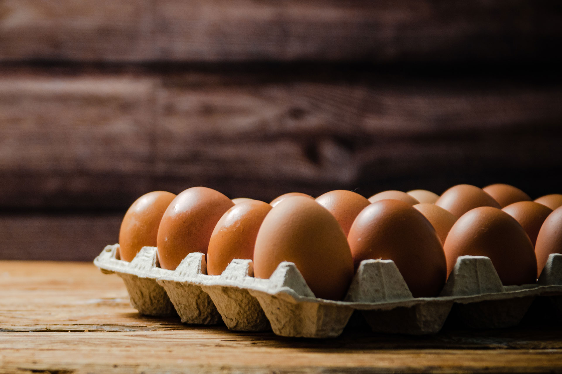 Sofralık Yumurta İhracatında Yeni Dönem Isindetayi