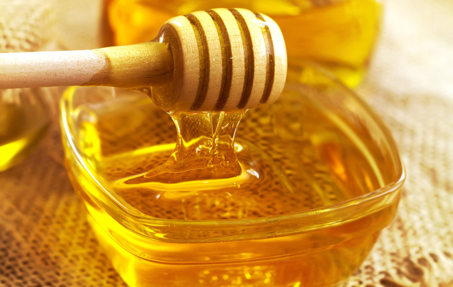 Arilar Olmadan Gida Güvenli̇ği̇ Mümkün Deği̇l Haber Isindetayi