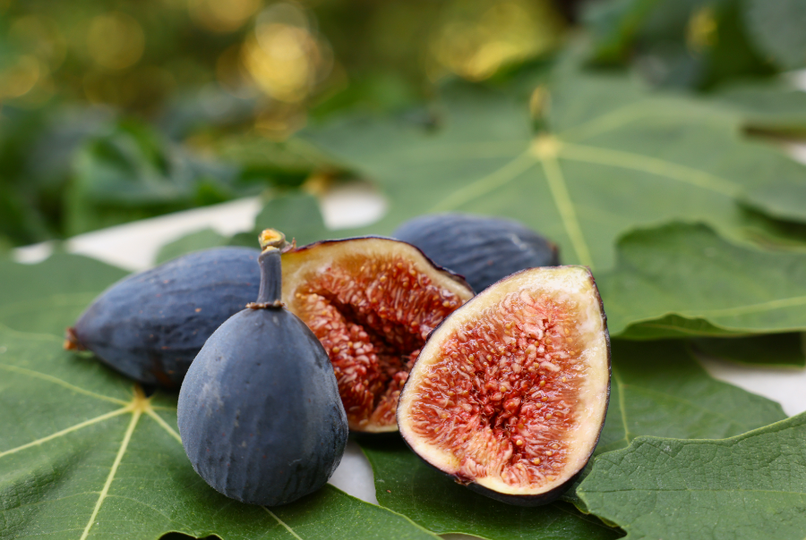 Türkiye'nin Incirdeki Yeni Yıldızı Siyah Orak, Kuzey Ege'de Yayılıyor Isindetayi.com Haber Izmir