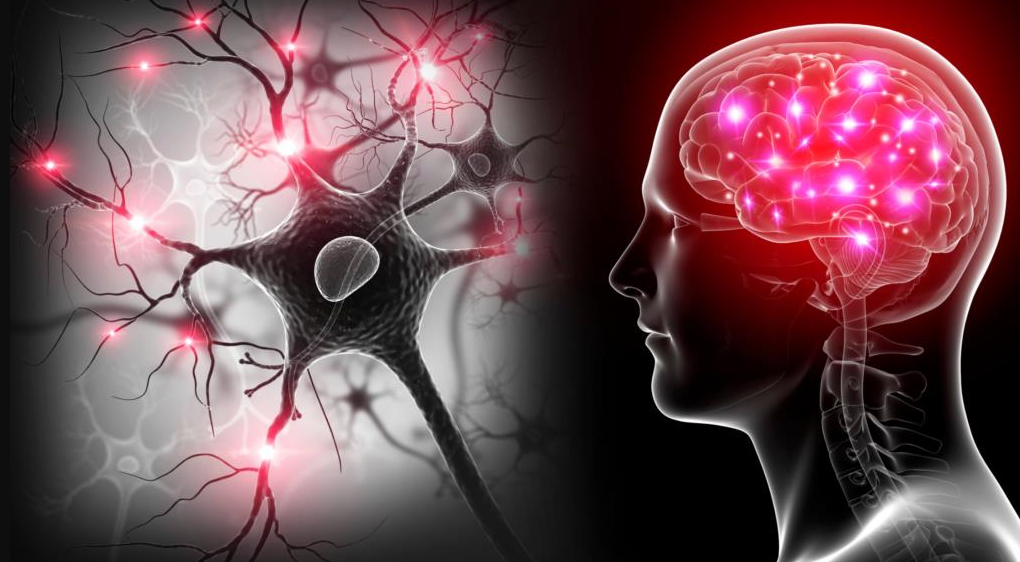 Yapay Zeka, Disleksi Ve Otizm’in Erken Tanısında Yüzde 98'E Varan Doğruluk Sağladı Isindetayi Sağlık