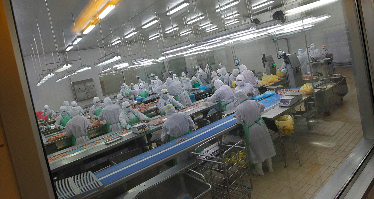 Bird Flu Alert In Japan Approximately 460,000 Chickens To Be Culled Haber Isindetayi