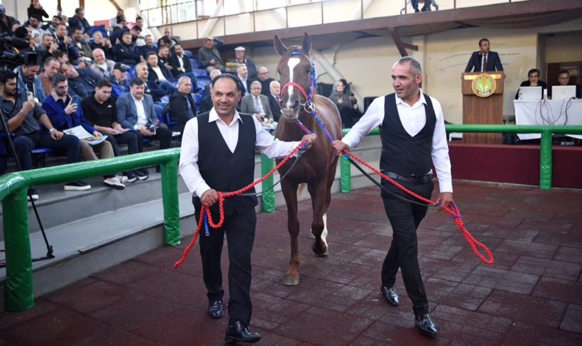 Hızlı Yasin’ Rekor Fiyatla Satıldı 10.5 Milyon Tl Haber İsi̇ndetayi̇