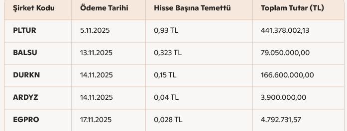 B O R S A Isindetayi
