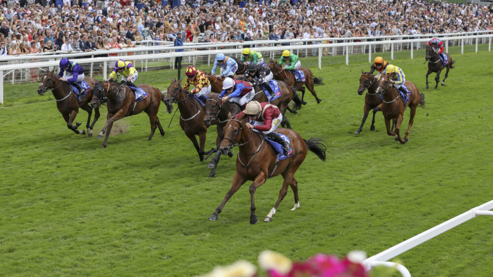 Yeni Vergi Darbesi İngiliz At Yarışları 10 Milyon Sterlinlik Yük Altında Isindetayi