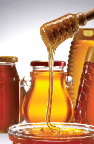 Bal Isindetayi Haber