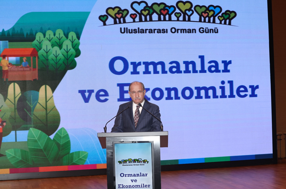 Fao Orta Asya Alt Bölge Ofisi Ormancılık Sorumlusu Ekrem Yazıcı Isindetayi-1