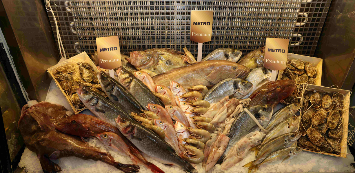 Metro Türkiye Isindetayi