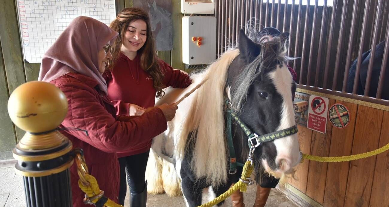 Pendik’te Atlarla Şifa Yaşlılar Için Atla Terapi Dönemi Başladı Haber Isindetayi