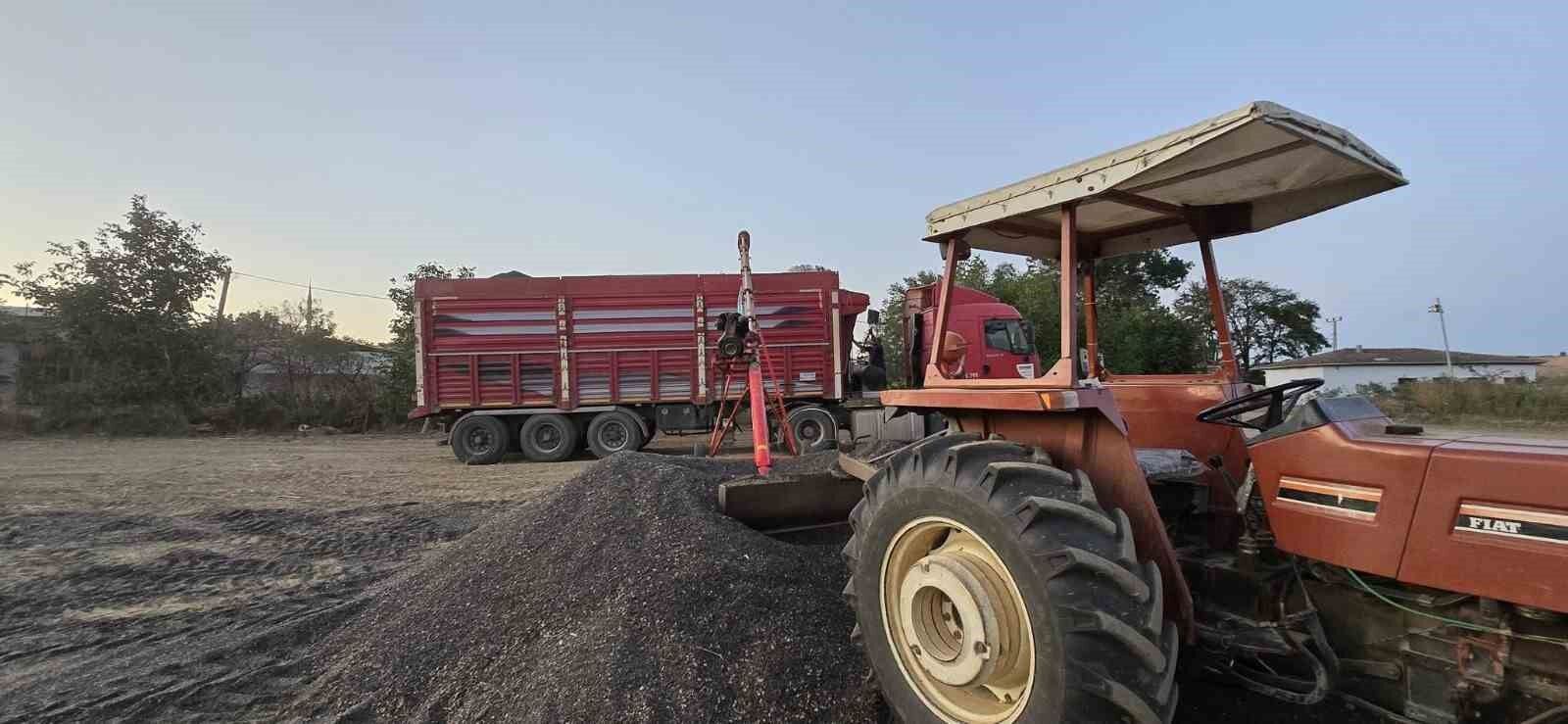 Yağlık Ayçiçeği Alım Fiyatı Açıklandı Yüzde 17,2 Artış, Ton Başına 34 Bin Lira Haber Isindetayi