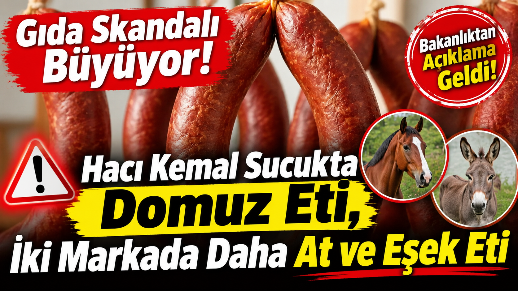 Gıda Skandalı Büyüyor! Hacı Kemal Sucukta Domuz Eti, İki Markada Daha At ve Eşek Eti