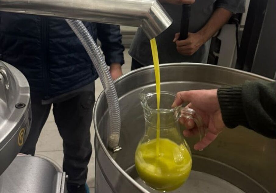 Mehmet Ve Tuğçe Ayağ’ın Öncülüğünde Kirte, Zeytin Geleneğini Geleceğe Taşıyor Haber Isindetayi